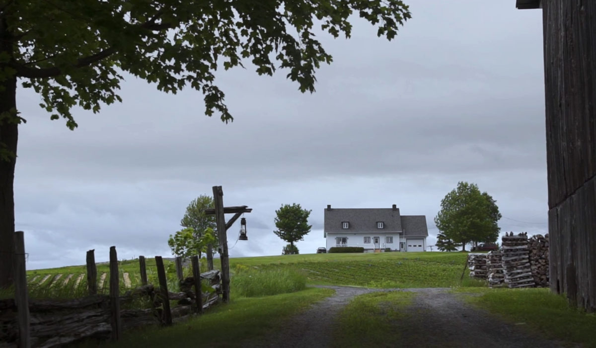 Les Doyens de l’île